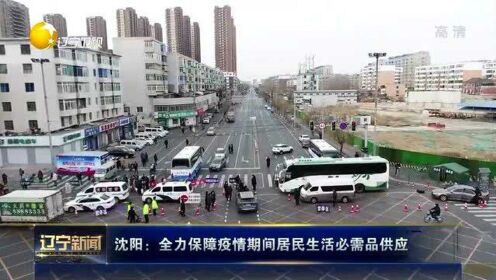 沈阳疫情下的城市变迁与民生保障