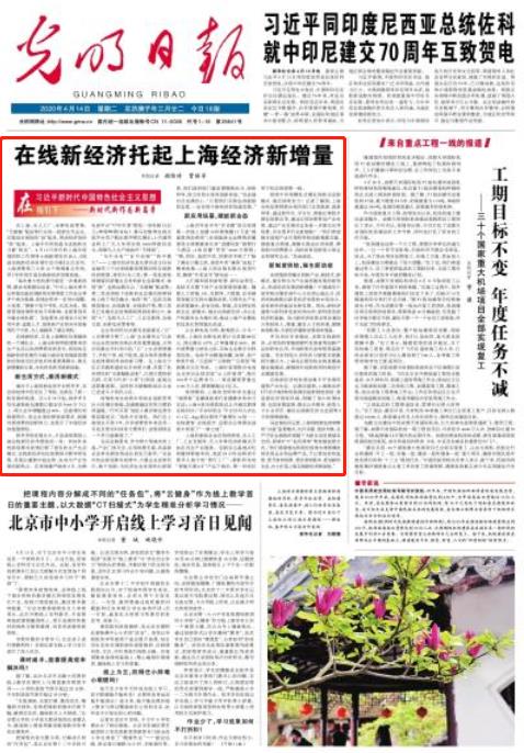 上海一月二十四号疫情发布，城市防疫新篇章开启