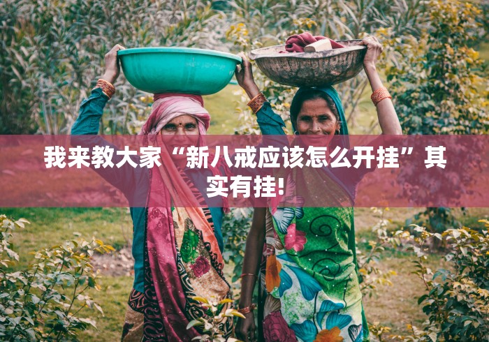 我来教大家“新八戒应该怎么开挂”其实有挂!