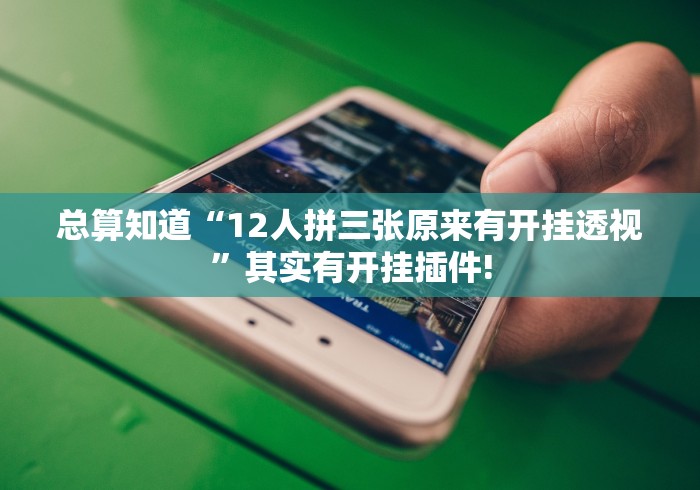 总算知道“12人拼三张原来有开挂透视”其实有开挂插件! 总算知道“12人拼三张原来有开挂透视”其实有开挂插件!