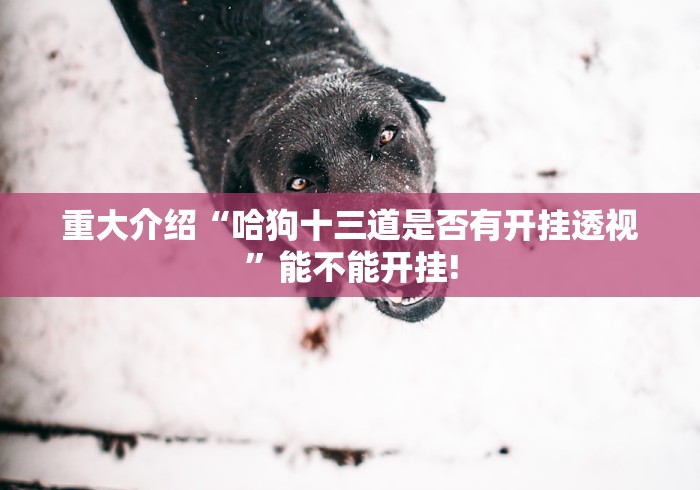 重大介绍“哈狗十三道是否有开挂透视”能不能开挂! 重大介绍“哈狗十三道是否有开挂透视”能不能开挂!