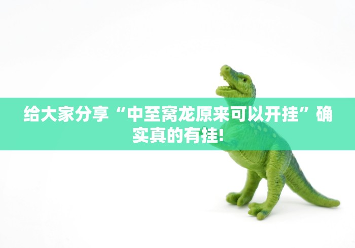 给大家分享“中至窝龙原来可以开挂”确实真的有挂!