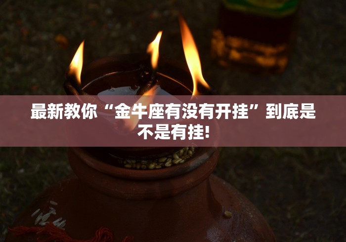 玩家必备攻略“皮皮跑胡子其实有外卦”当真可以开挂!