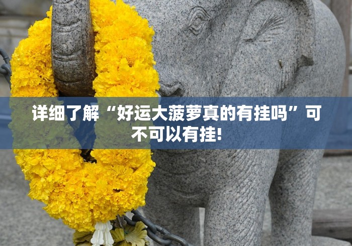 详细了解“好运大菠萝真的有挂吗”可不可以有挂!