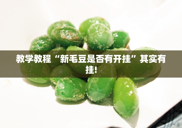 教学教程“新毛豆是否有开挂”其实有挂!