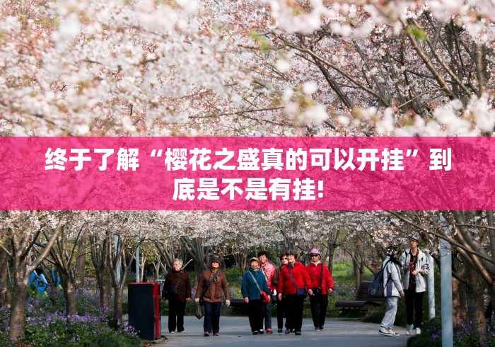 终于了解“樱花之盛真的可以开挂”到底是不是有挂!