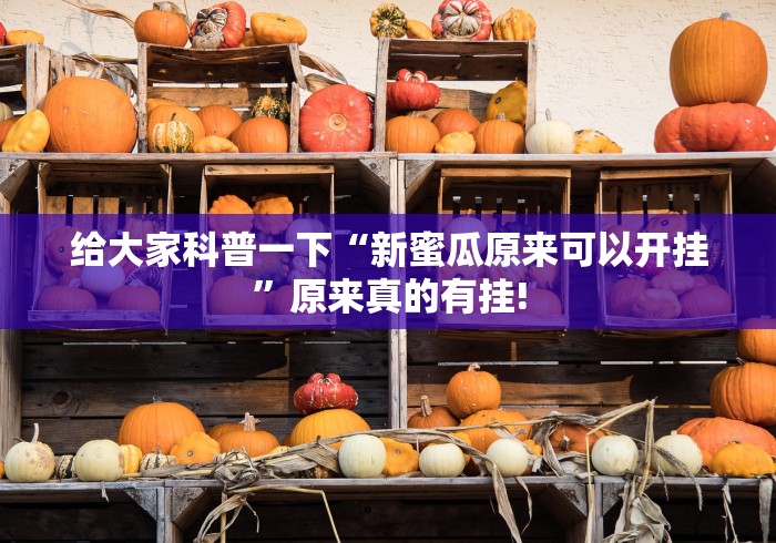 给大家科普一下“新蜜瓜原来可以开挂”原来真的有挂!