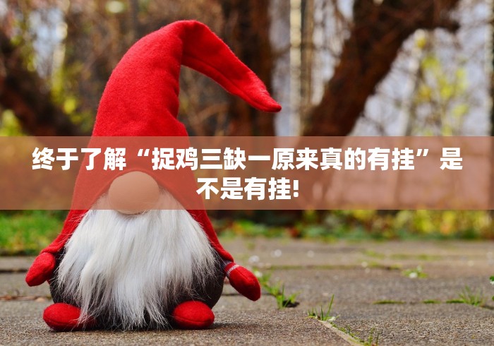 终于了解“捉鸡三缺一原来真的有挂”是不是有挂!