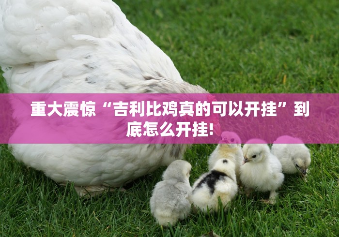 重大震惊“吉利比鸡真的可以开挂”到底怎么开挂!