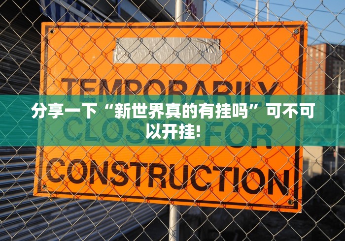 分享一下“新世界真的有挂吗”可不可以开挂! 分享一下“新世界真的有挂吗”可不可以开挂!