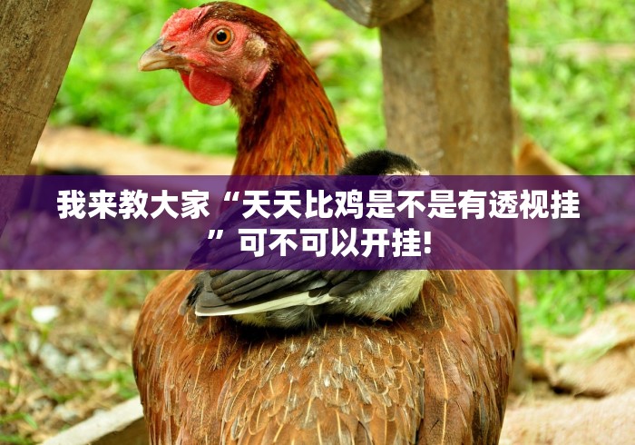 我来教大家“天天比鸡是不是有透视挂”可不可以开挂! 我来教大家“天天比鸡是不是有透视挂”可不可以开挂!