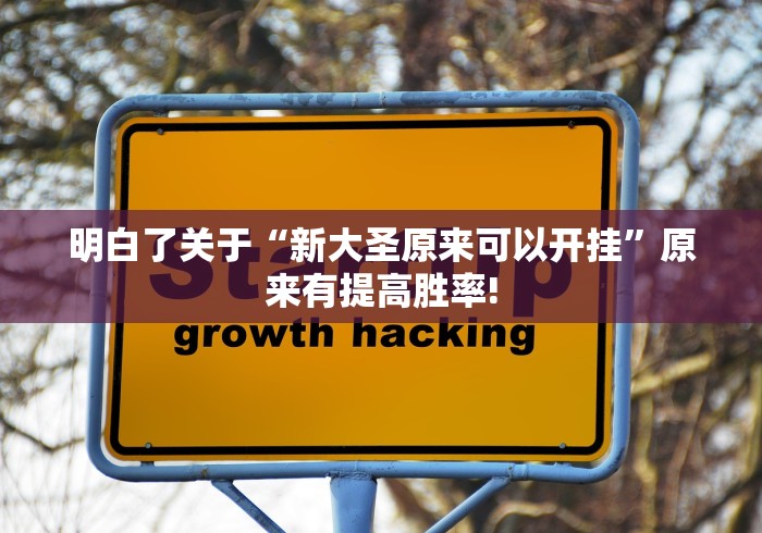 明白了关于“新大圣原来可以开挂”原来有提高胜率! 明白了关于“新大圣原来可以开挂”原来有提高胜率!