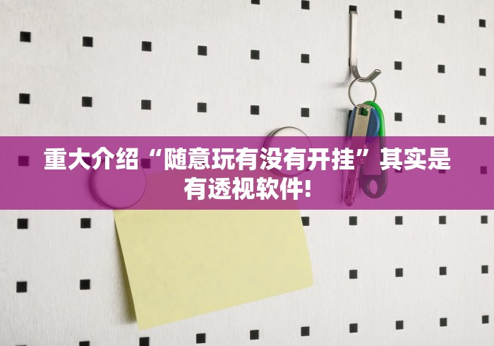 重大介绍“随意玩有没有开挂”其实是有透视软件!