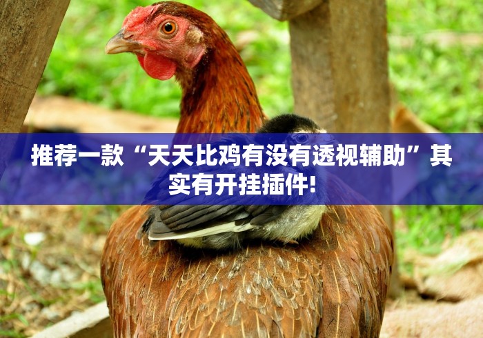 推荐一款“天天比鸡有没有透视辅助”其实有开挂插件! 推荐一款“天天比鸡有没有透视辅助”其实有开挂插件!