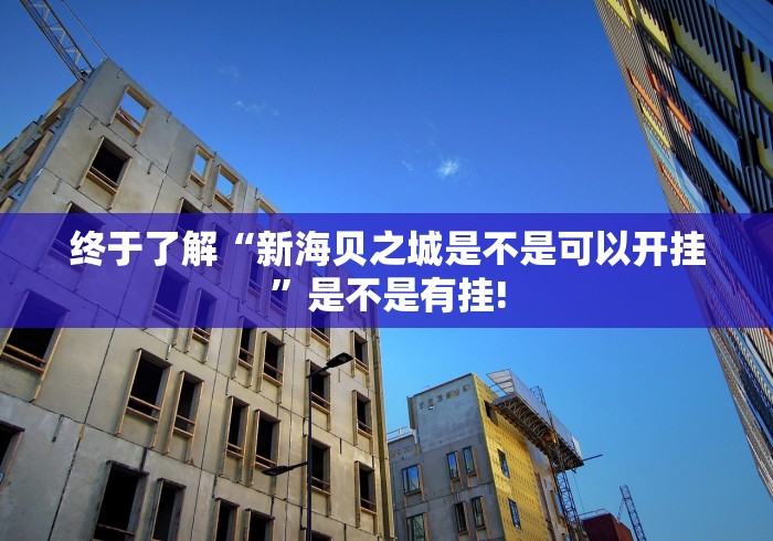 终于了解“新海贝之城是不是可以开挂”是不是有挂!