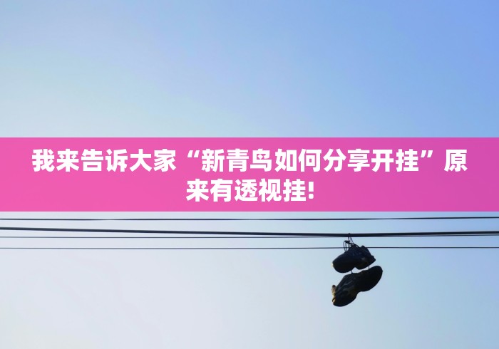 终于找到“中至南昌麻将有没有装挂”究竟如何开挂!