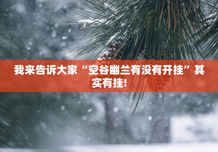 我来告诉大家“空谷幽兰有没有开挂”其实有挂!