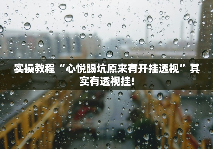 实操教程“心悦踢坑原来有开挂透视”其实有透视挂!