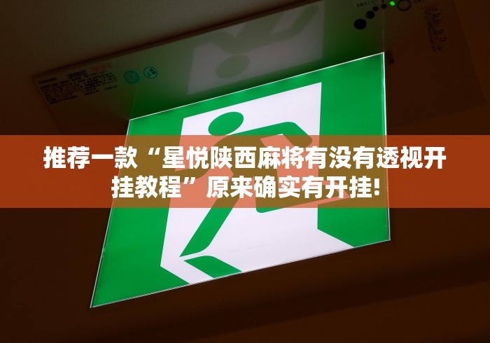 明白了关于“凑局麻将是不是有透视挂”其实是有透视软件!