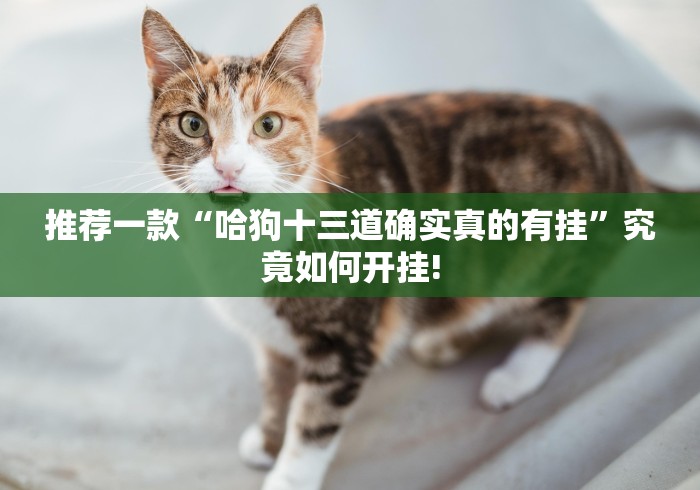 我来教大家“微乐海南麻将原来确实有挂”原来有提高胜率!