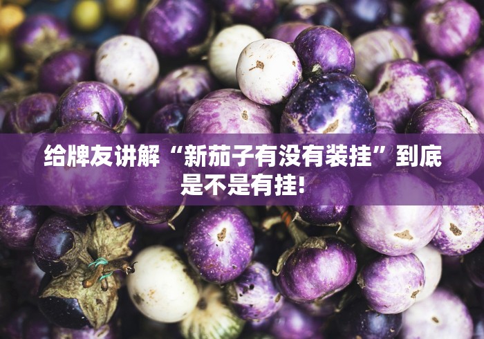 给牌友讲解“新茄子有没有装挂”到底是不是有挂!