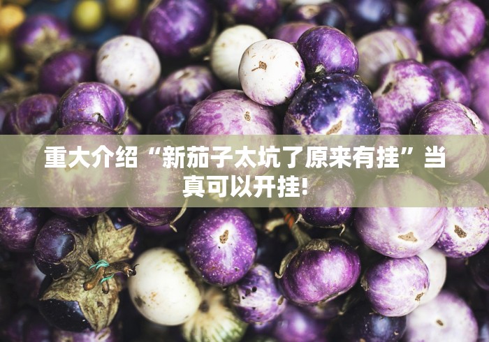 重大介绍“新茄子太坑了原来有挂”当真可以开挂!