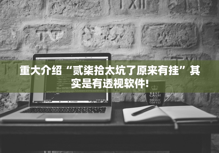 重大介绍“贰柒拾太坑了原来有挂”其实是有透视软件!