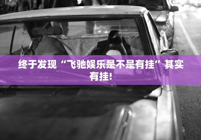 终于发现“飞驰娱乐是不是有挂”其实有挂!