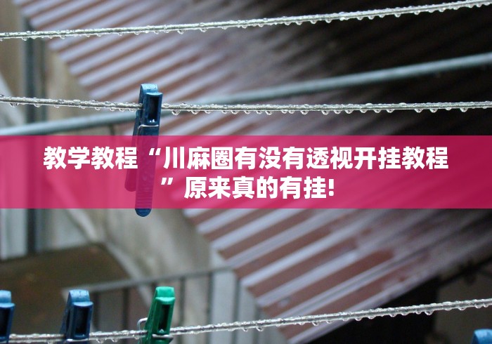 教学教程“川麻圈有没有透视开挂教程”原来真的有挂!
