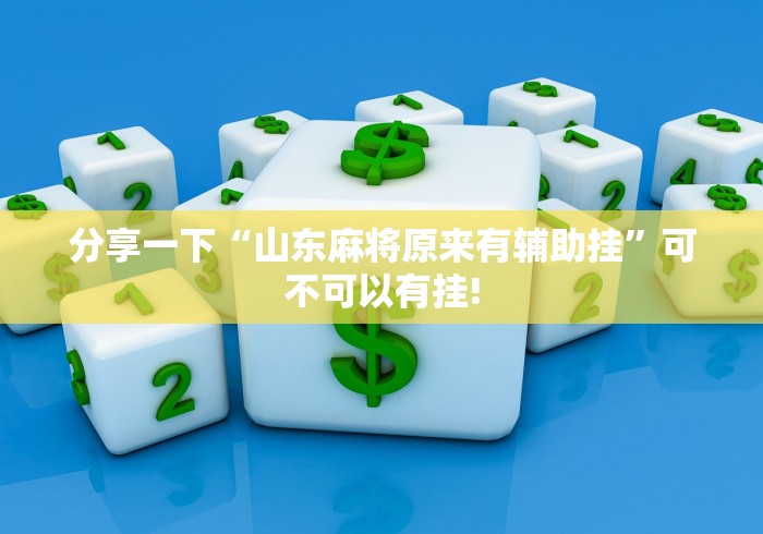 分享一下“山东麻将原来有辅助挂”可不可以有挂!