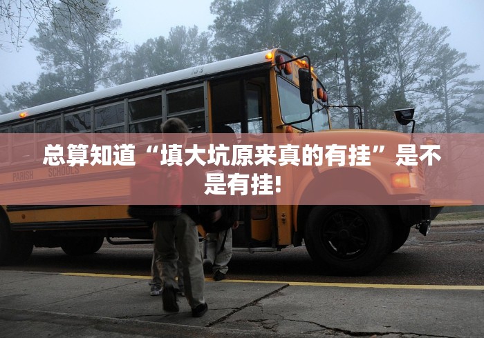 总算知道“填大坑原来真的有挂”是不是有挂!