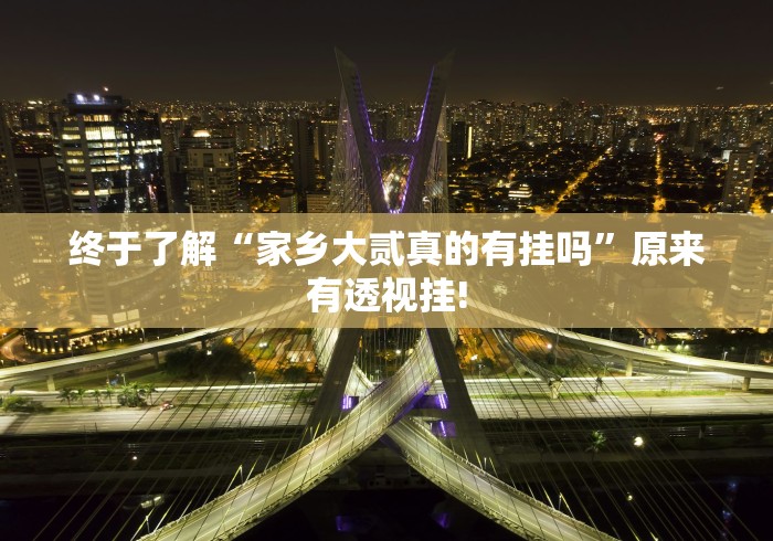 终于了解“家乡大贰真的有挂吗”原来有透视挂!