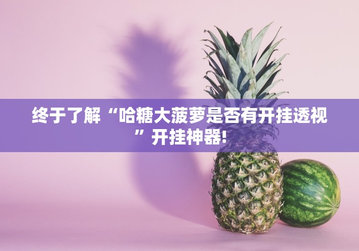终于了解“哈糖大菠萝是否有开挂透视”开挂神器!