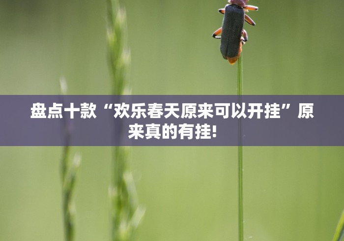 盘点十款“欢乐春天原来可以开挂”原来真的有挂!