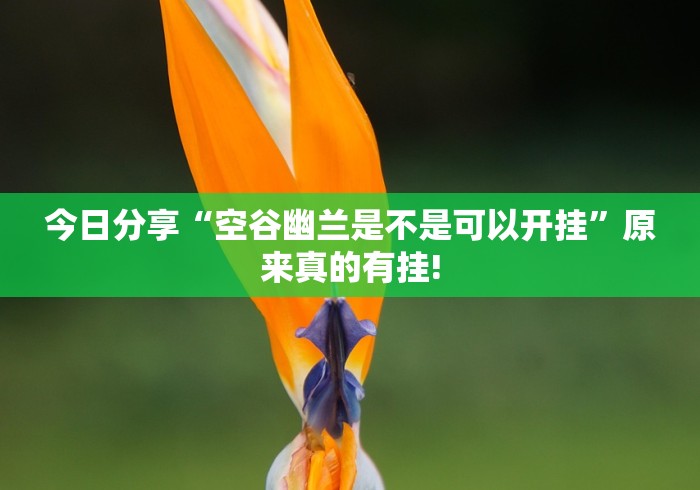 今日分享“空谷幽兰是不是可以开挂”原来真的有挂!