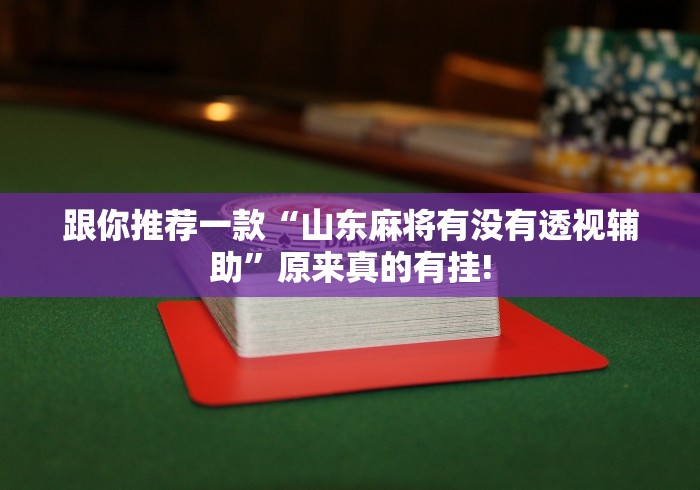 跟你推荐一款“山东麻将有没有透视辅助”原来真的有挂!