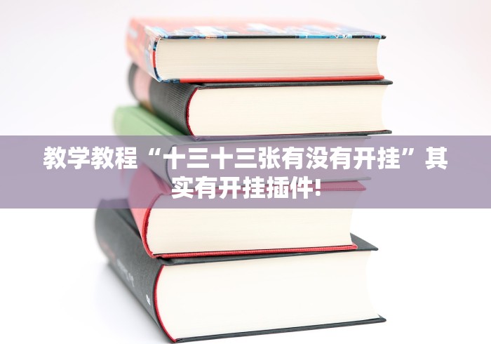 教学教程“十三十三张有没有开挂”其实有开挂插件!