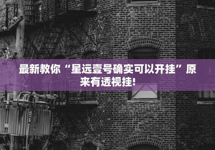 最新教你“星远壹号确实可以开挂”原来有透视挂!