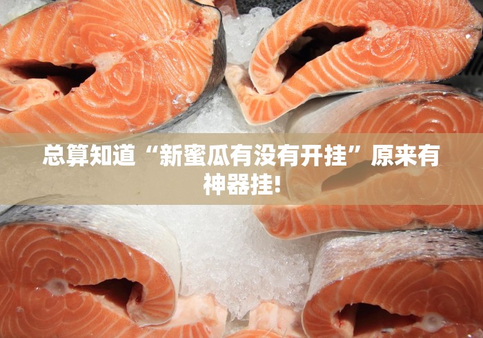 总算知道“新蜜瓜有没有开挂”原来有神器挂!