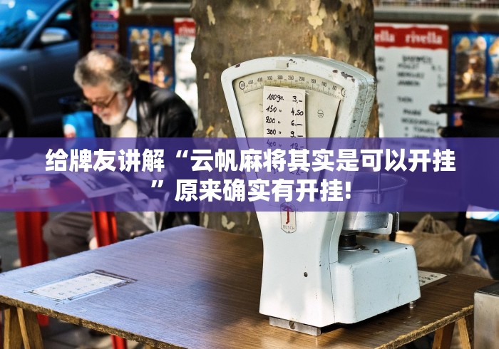 给牌友讲解“云帆麻将其实是可以开挂”原来确实有开挂!