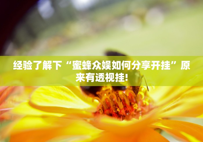 经验了解下“蜜蜂众娱如何分享开挂”原来有透视挂!