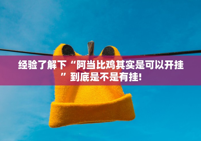 经验了解下“阿当比鸡其实是可以开挂”到底是不是有挂!