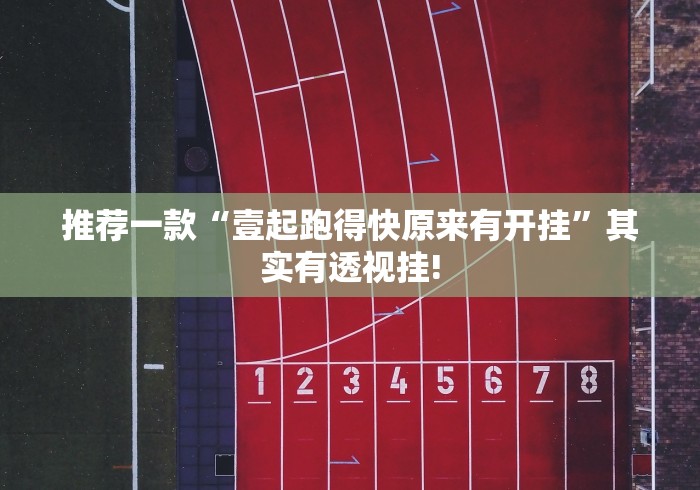 推荐一款“壹起跑得快原来有开挂”其实有透视挂!