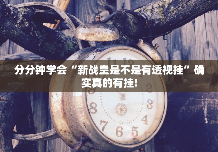 分分钟学会“新战皇是不是有透视挂”确实真的有挂!