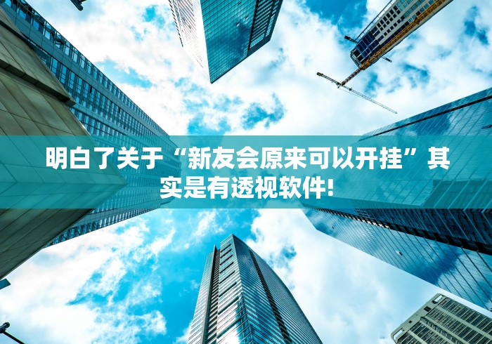 明白了关于“新友会原来可以开挂”其实是有透视软件!