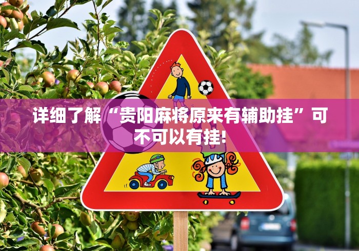 详细了解“贵阳麻将原来有辅助挂”可不可以有挂!