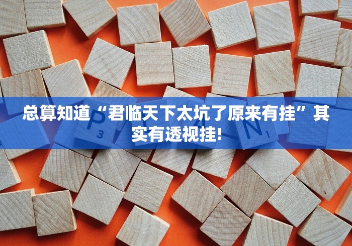 总算知道“君临天下太坑了原来有挂”其实有透视挂!