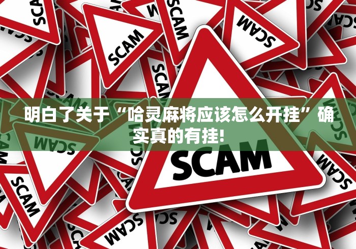 明白了关于“哈灵麻将应该怎么开挂”确实真的有挂!