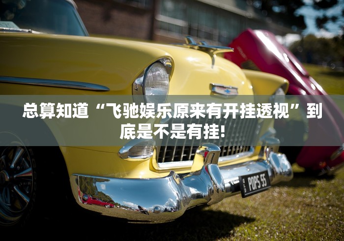 总算知道“飞驰娱乐原来有开挂透视”到底是不是有挂!