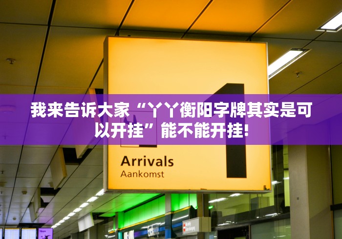 我来告诉大家“丫丫衡阳字牌其实是可以开挂”能不能开挂!